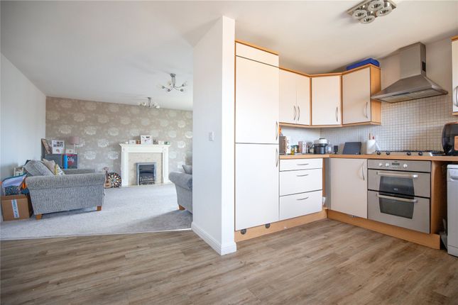 31, Thackeray, Bristol photo 3