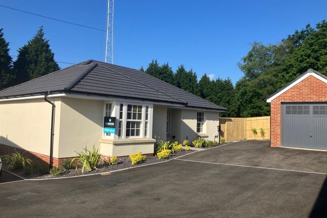 Thumbnail Detached bungalow for sale in Cae Canol, Cwmrhydyceirw, Swansea