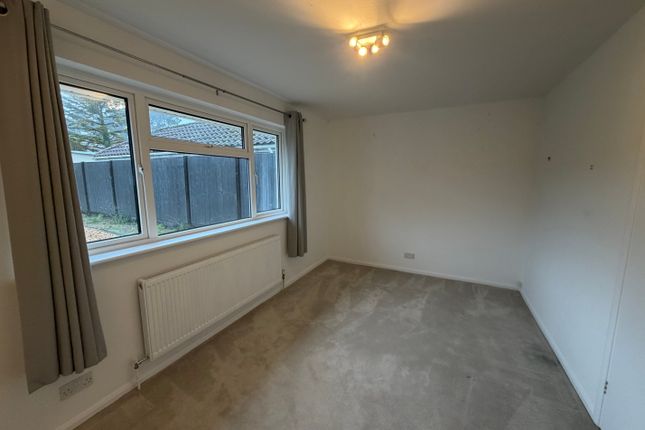 Ferndown photo 5