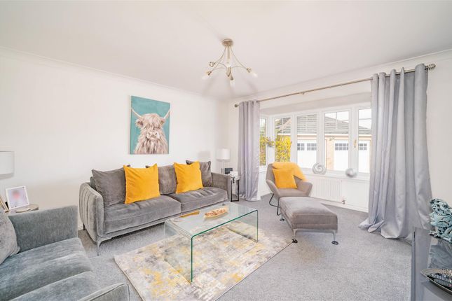 20, St. Martin Drive, Dundee photo 5