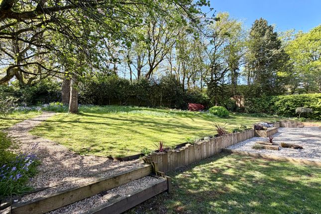 Avon Glen, Hurn Lane, Ringwood photo 3