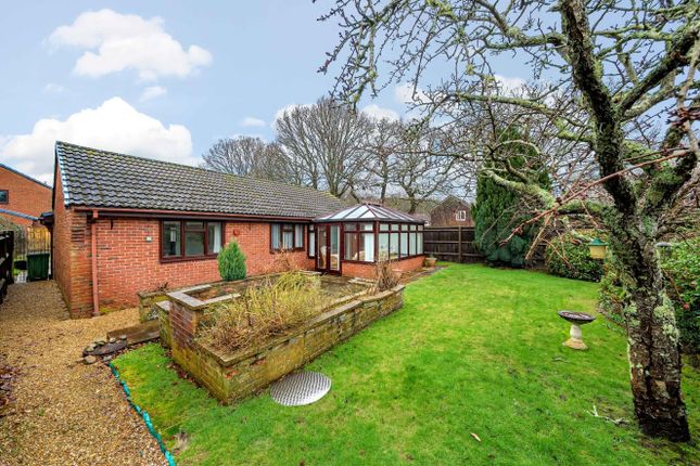 Detached bungalow for sale in Caernarvon Gardens, Chandler's Ford, Eastleigh