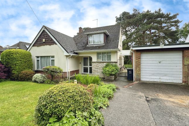 Thumbnail Bungalow for sale in East Avenue, Talbot Woods, Bournemouth, Dorset