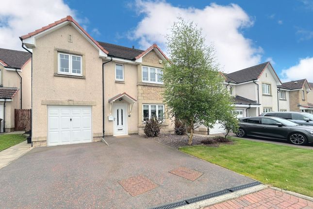 Thumbnail Detached house for sale in Ancaster Place, Falkirk