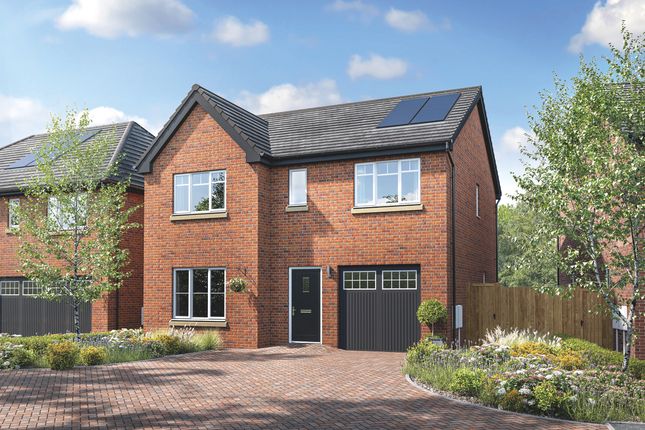 Ennerdale CGI 