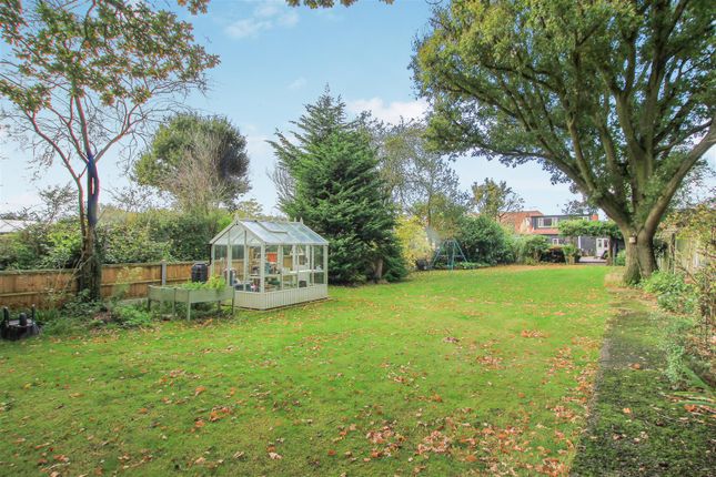 Detached bungalow for sale in Blackmore Road, Doddinghurst, Brentwood