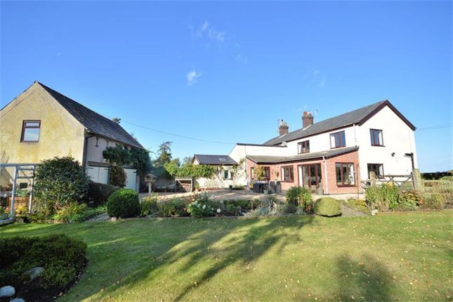Thumbnail Semi-detached house for sale in Hatton Lodge Cottages, Warrington Road, Hatton, Warrington