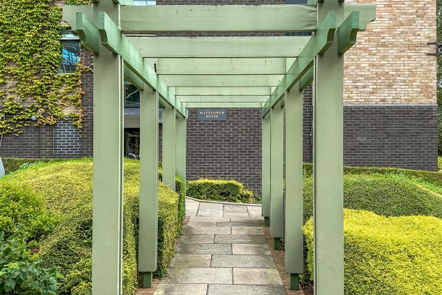 Mayflower House, Cambridge photo 2