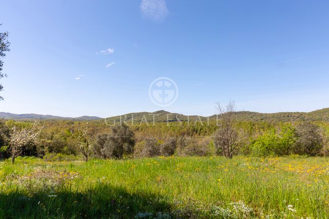 Villa for sale in Montegabbione, Terni, Umbria