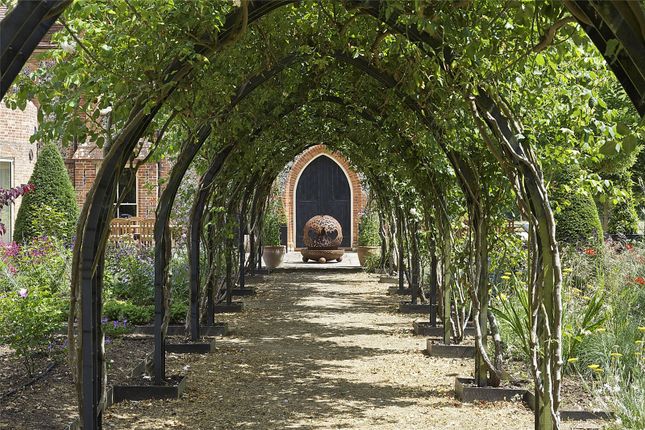 Avenue Of Trees