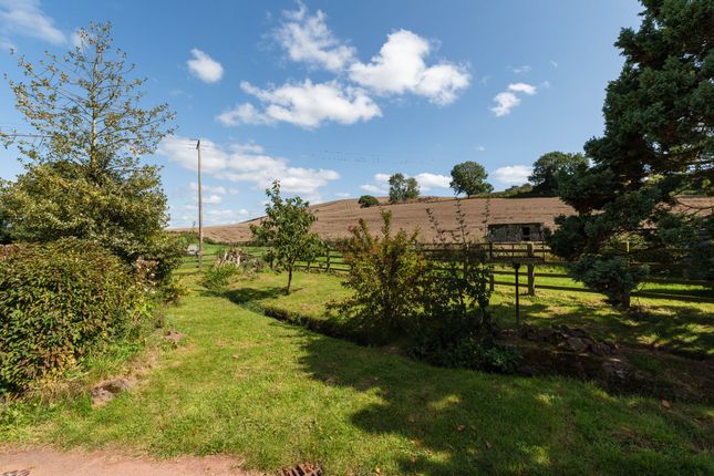 Cottage for sale in Spencecombe Lane, Crediton