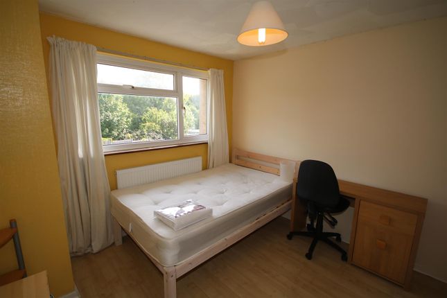 Shared accommodation to rent in Tenterden Drive, Canterbury