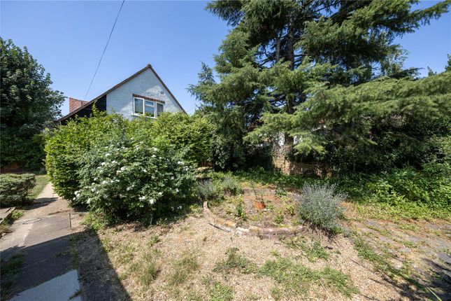 301, Petersham Road, Petersham photo 4