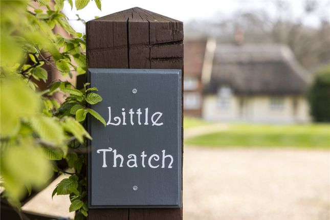 Little Thatch,, Broad Oak, Hook photo 4