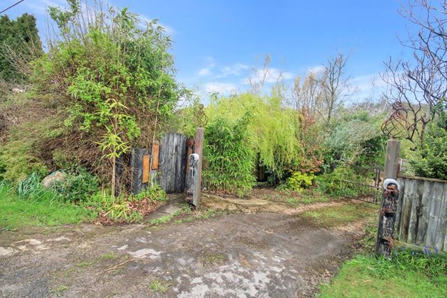 Detached bungalow for sale in Cranborne Road, Cripplestyle, Fordingbridge