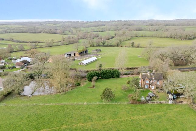 Melody Cottage, Grove Hill, Hellingly photo 2