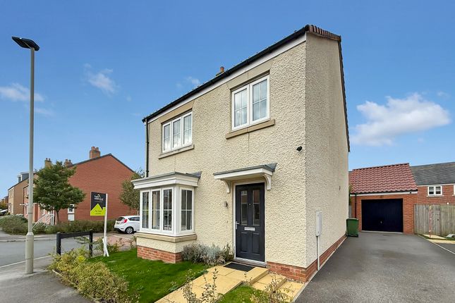 Img_5759.Jpeg_Enhanced