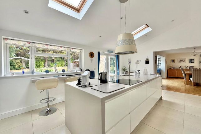 3, Paradise Close, East Sussex photo 4