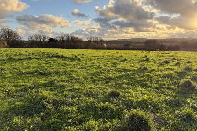 4.84 Acres of Pasture Land and Scrubland, at New Holmus, Haverfordwest photo 2