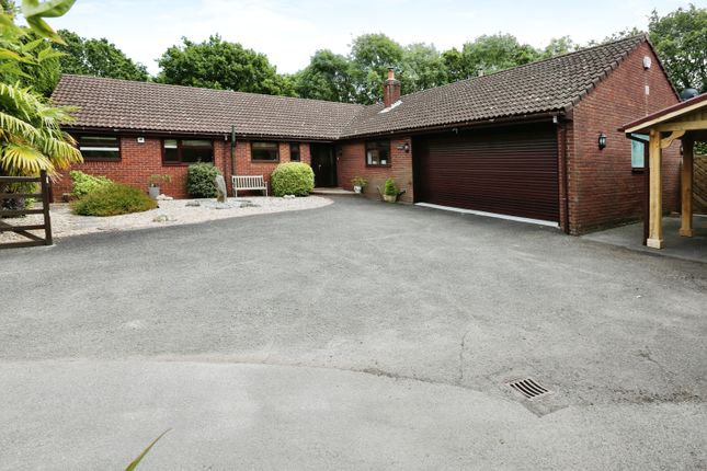 Thumbnail Bungalow for sale in Chilling Lane, Hook Village, Hampshire