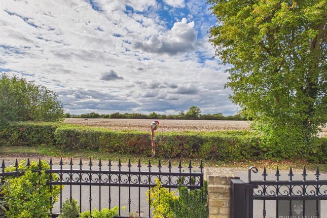 Bee Croft, Newmans End, Harlow photo 2