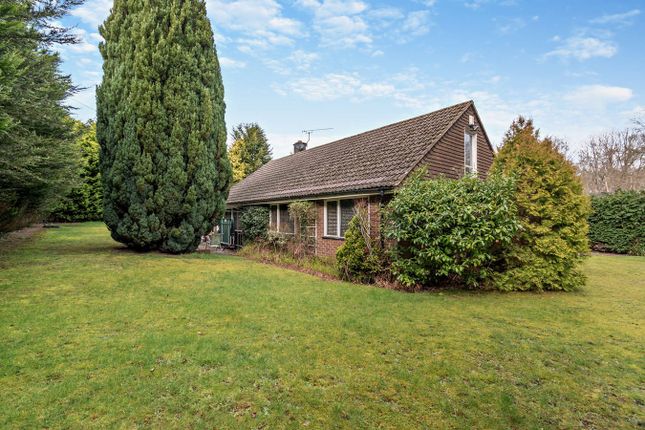 Detached bungalow for sale in The Avenue, Worplesdon, Guildford