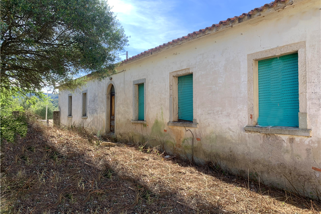 Land for sale in Luogosanto, Sassari, Sardinia, Italy