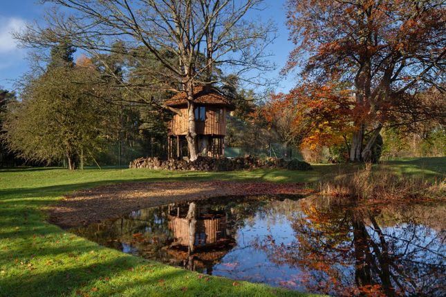 Grounds