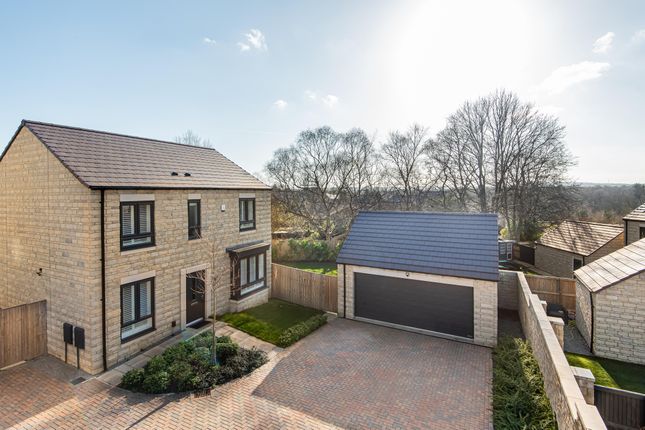 Thumbnail Detached house to rent in Aster Way, Beckwithshaw, Harrogate, North Yorkshire, UK