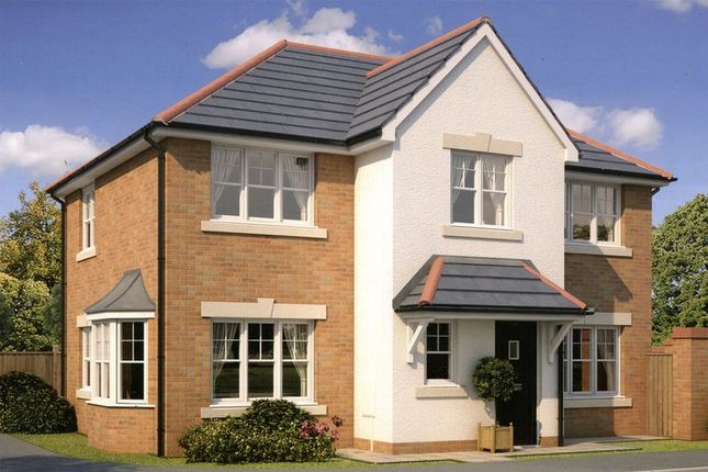 Blackpool Lancashire New Homes For Sale Buy New Homes In