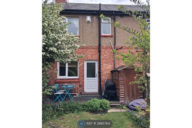 Hedley Terrace, Newcastle Upon Tyne photo 2