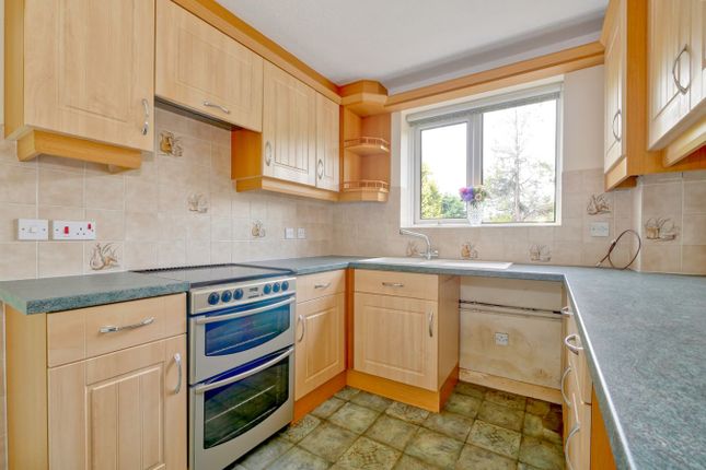 25, Rope Walk, Hailsham photo 2