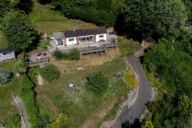 Thumbnail Detached bungalow for sale in Symonds Yat, Ross-On-Wye