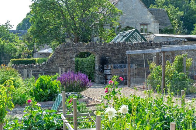 Vegetable Garden