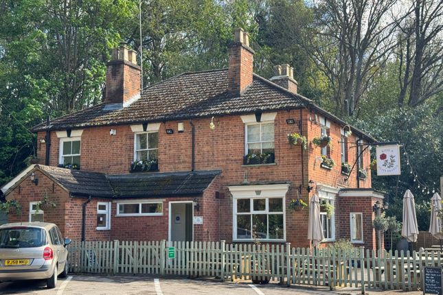 Leisure/hospitality to let in The Rose &amp; Olive Branch Pub, Callow Hill, Virginia Water