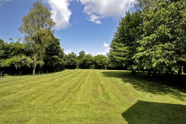 Guest Lawns