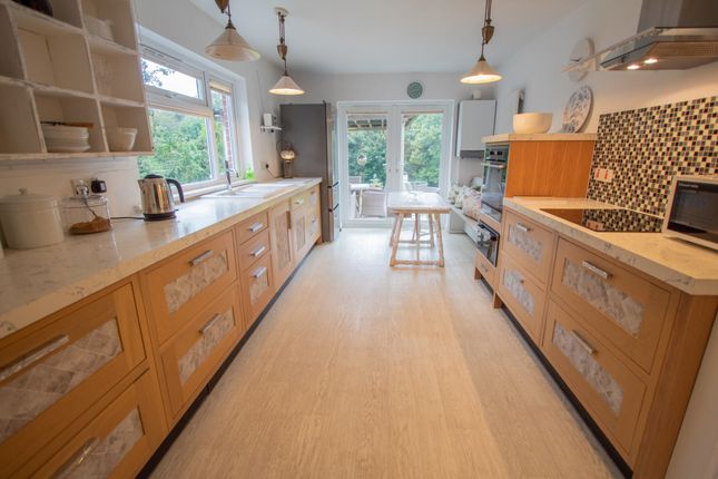 Otter View, Church Lane, Ottery Saint Mary photo 2
