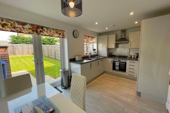 51, Gannet Drive, Morpeth photo 3