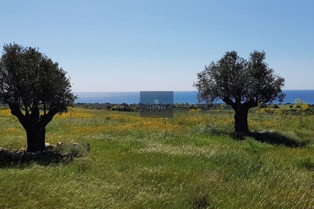 Land for sale in Larnaca, Cyprus
