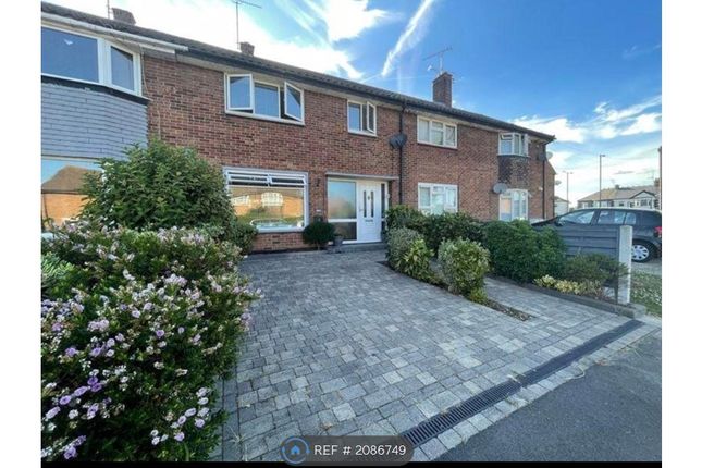 Thumbnail Terraced house to rent in Mendip Crescent, Westcliff-On-Sea