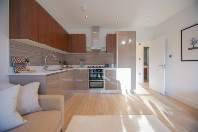 Two Bed Two Bath Modern Apartment