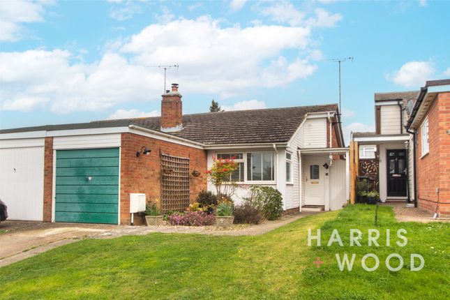 Thumbnail Bungalow for sale in Greenacres, Colchester, Essex