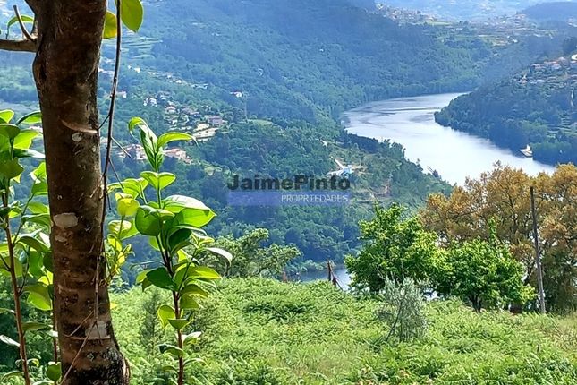 Country house for sale in Old Houses (1+1+1) With Fantastic View To Douro River, Portugal