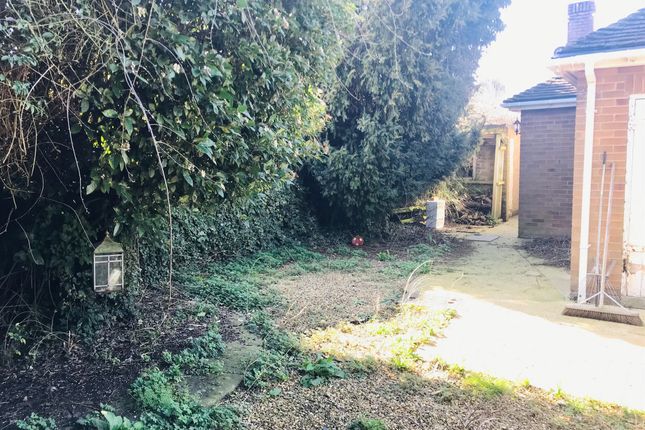 31, Northorpe Road, Spalding photo 4