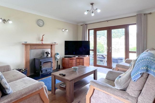 The Willow, Llanwrtyd Wells photo 3