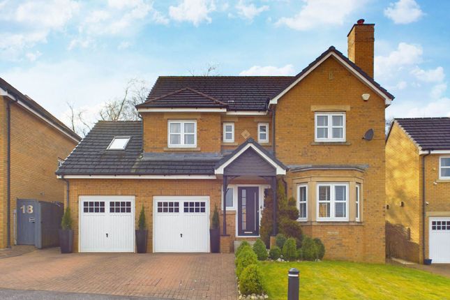 Thumbnail Detached house for sale in Pentland Way, Hamilton