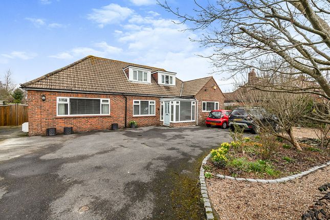 Thumbnail Bungalow to rent in Main Road, Icklesham, Winchelsea, East Sussex