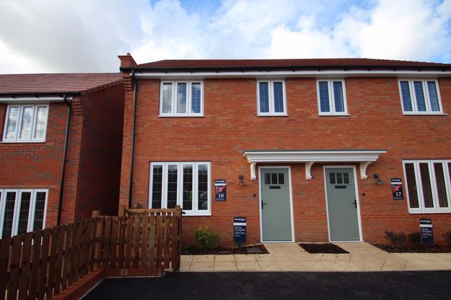 Thumbnail Semi-detached house to rent in Turtle Dove Close, Hinckley, Leicestershire