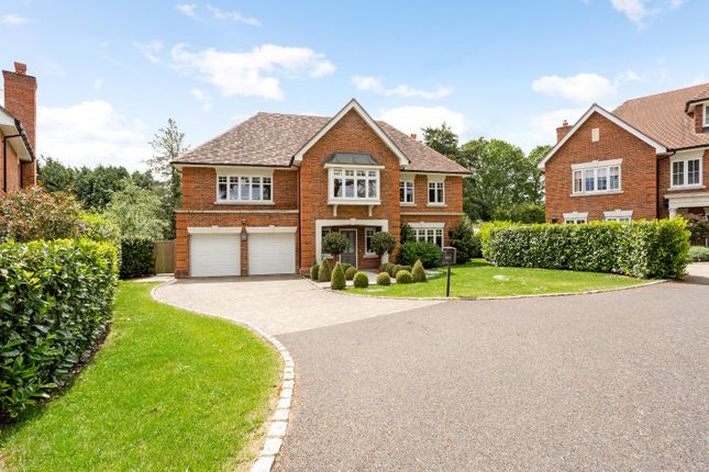 Thumbnail Detached house to rent in Tilford Road, Farnham, Surrey
