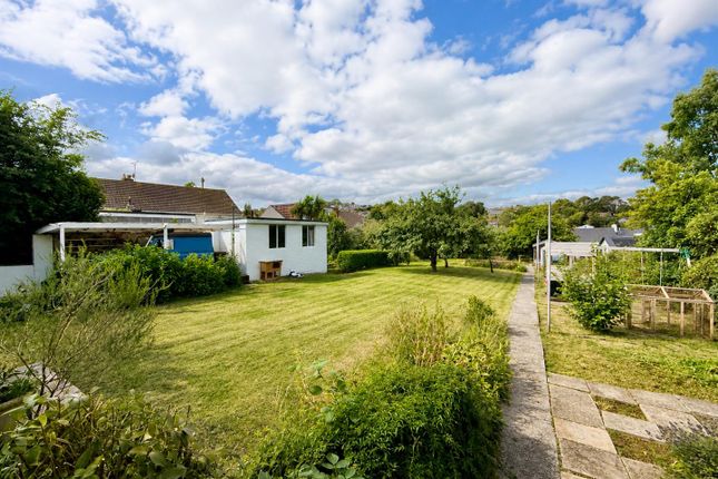 Southside, 21, Nut Tree Orchard, Brixham photo 4